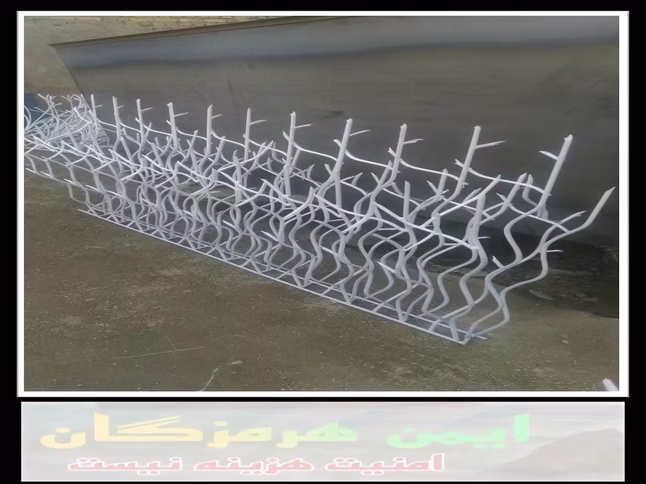 قیمت حفاظ شاخ گوزنی در بندر عباس چقدر است؟ قیمت حفاظ شاخ گوزنی در بندر عباس چقدر است؟