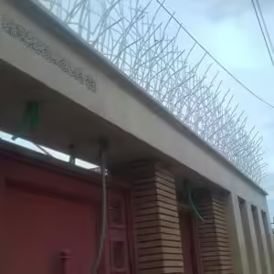 حفاظ بوته ای در بندر عباس حفاظ بوته ای در بندر عباس