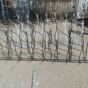 حفاظ شاخ گوزنی در بندر عباس