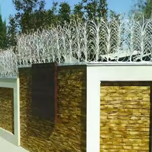 حفاظ لیلیوم در بندر عباس حفاظ لیلیوم در بندر عباس