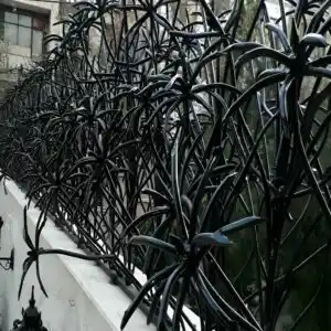 حفاظ نخل مرداب در بندر عباس