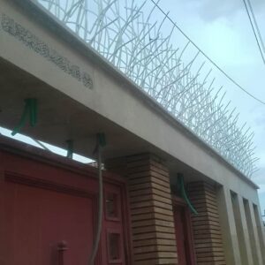 حفاظ بوته ای در بندر عباس