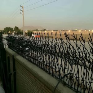 حفاظ بوته ای در بندر عباس