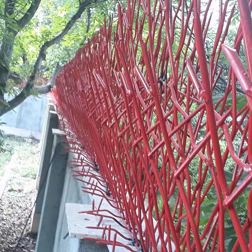 نصب حفاظ بوته ای در بندر عباس