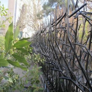 حفاظ بوته ای در بندر عباس