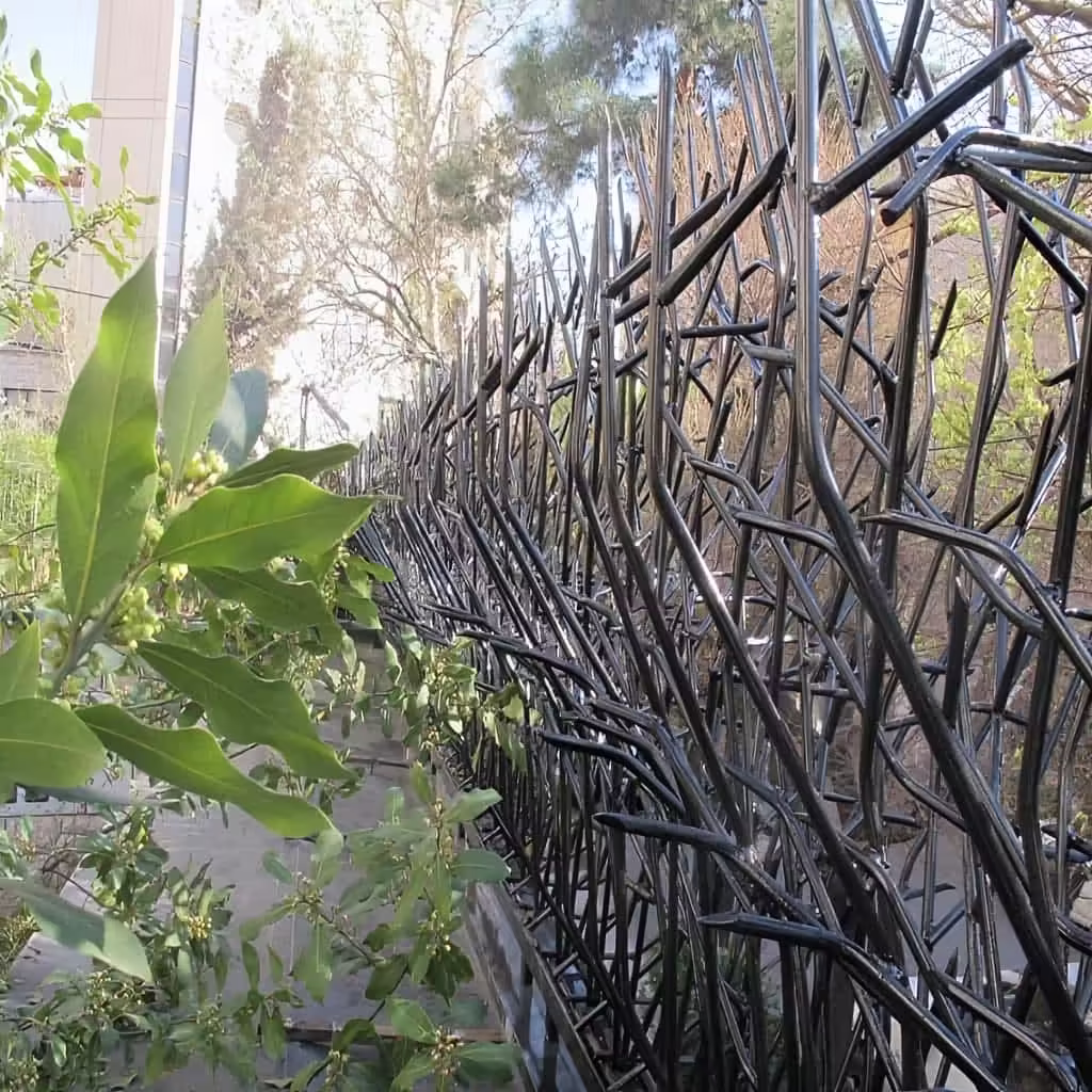 حفاظ بوته ای در بندر عباس