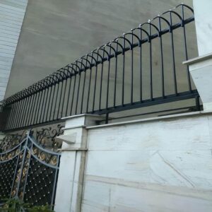 حفاظ سرنیزه ای در بندر عباس