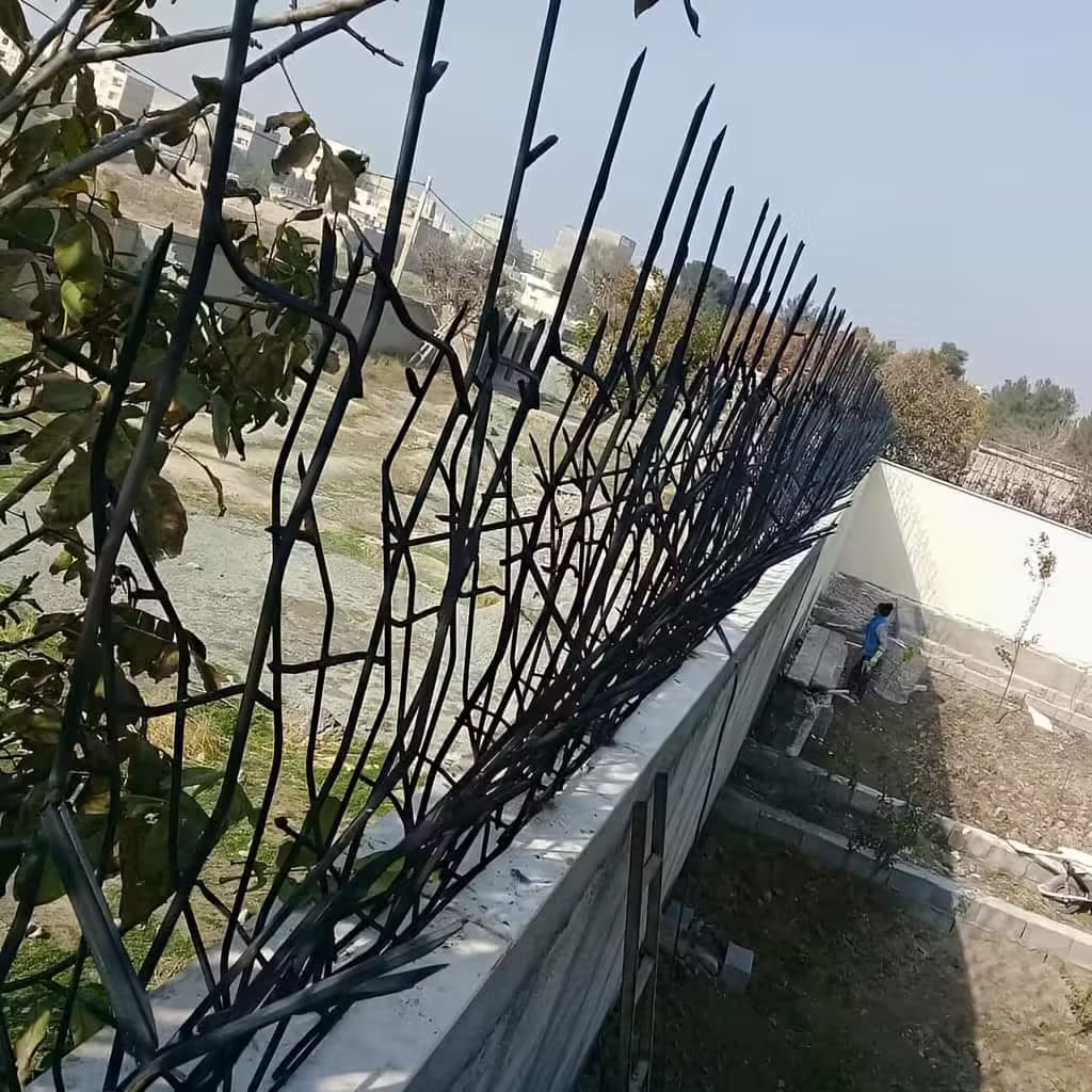 حفاظ امنیتی دیوار در بندر عباس