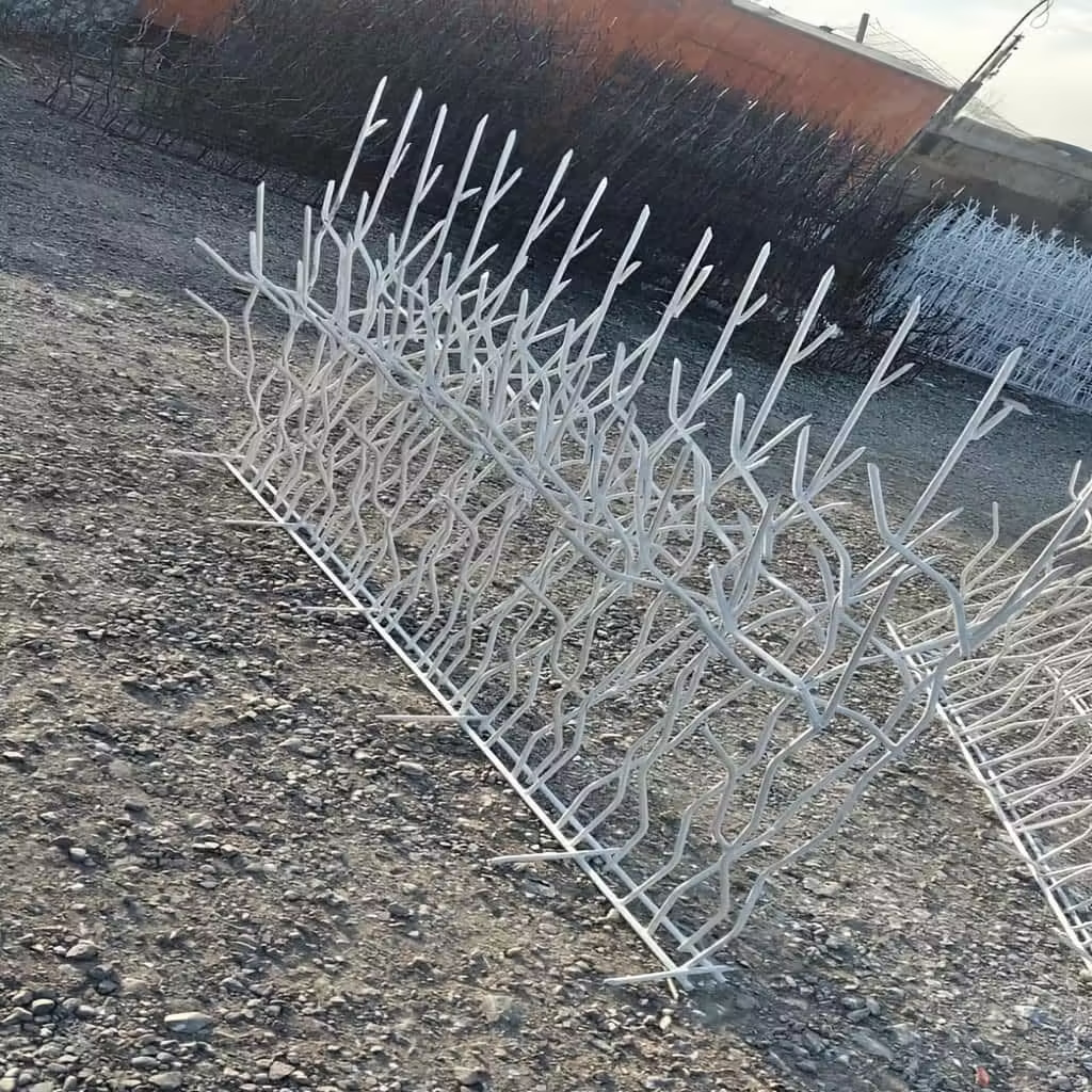 نصب حفاظ شاخ گوزنی در بندر عباس