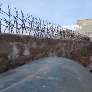 حفاظ شاخ گوزنی در بندر عباس
