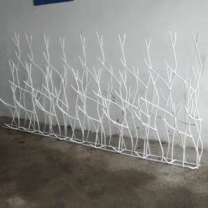 حفاظ شاخ گوزنی در بندر عباس