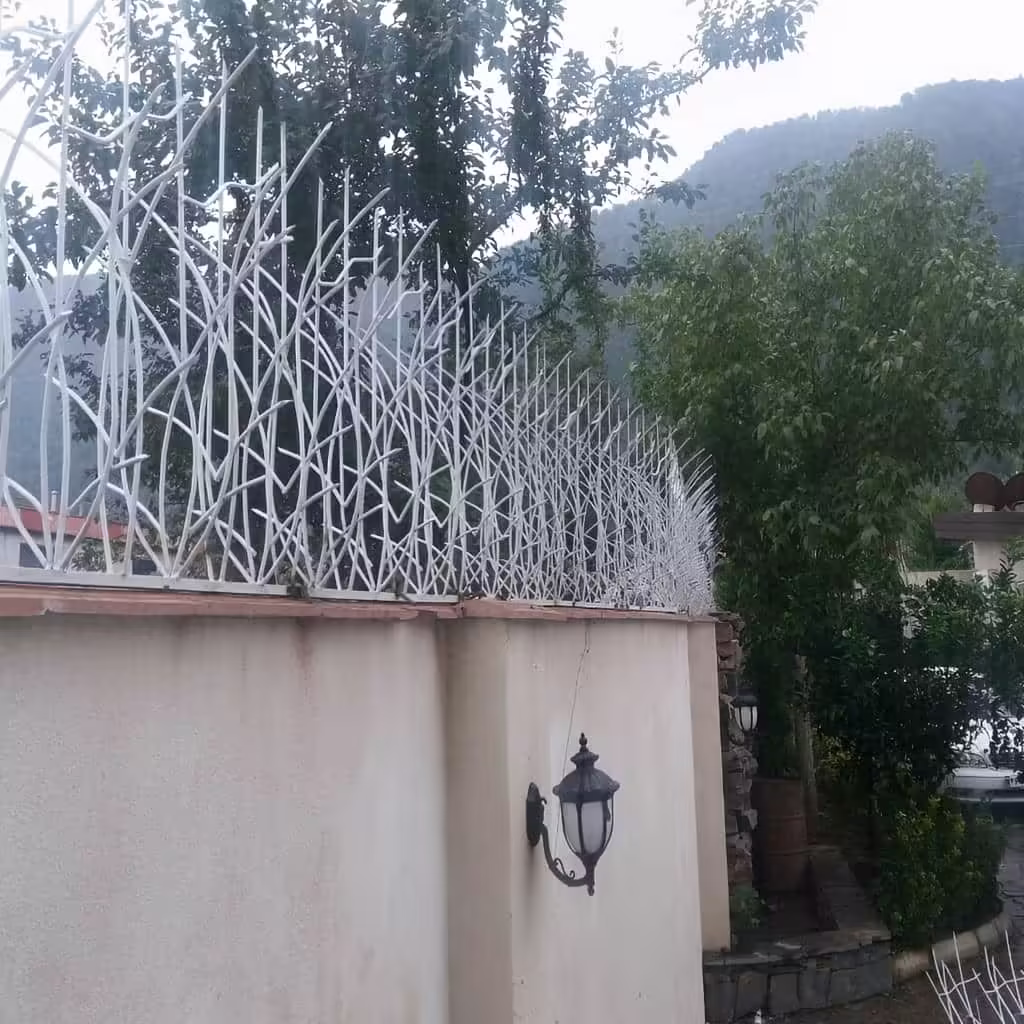 نصب حفاظ نیزار در بندر عباس