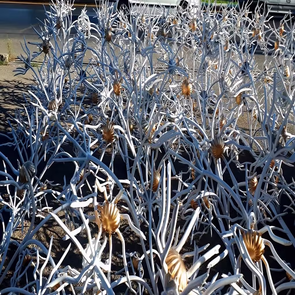 قیمت حفاظ گل آفتابگردان در بندر عباس