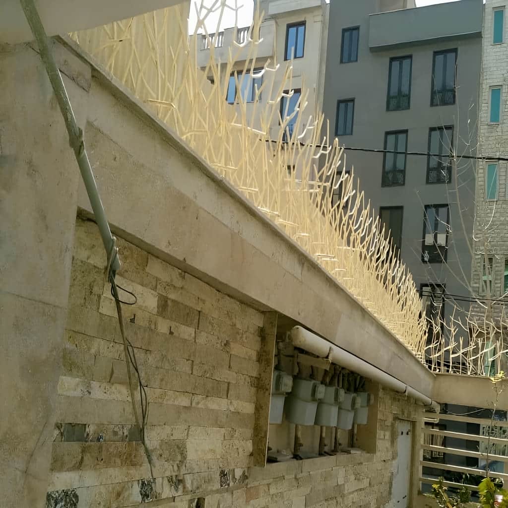 قیمت حفاظ بوته ای پرتراکم بر اساس مشخصات ساخت در بندر عباس قیمت حفاظ بوته ای پرتراکم بر اساس مشخصات ساخت در بندر عباس