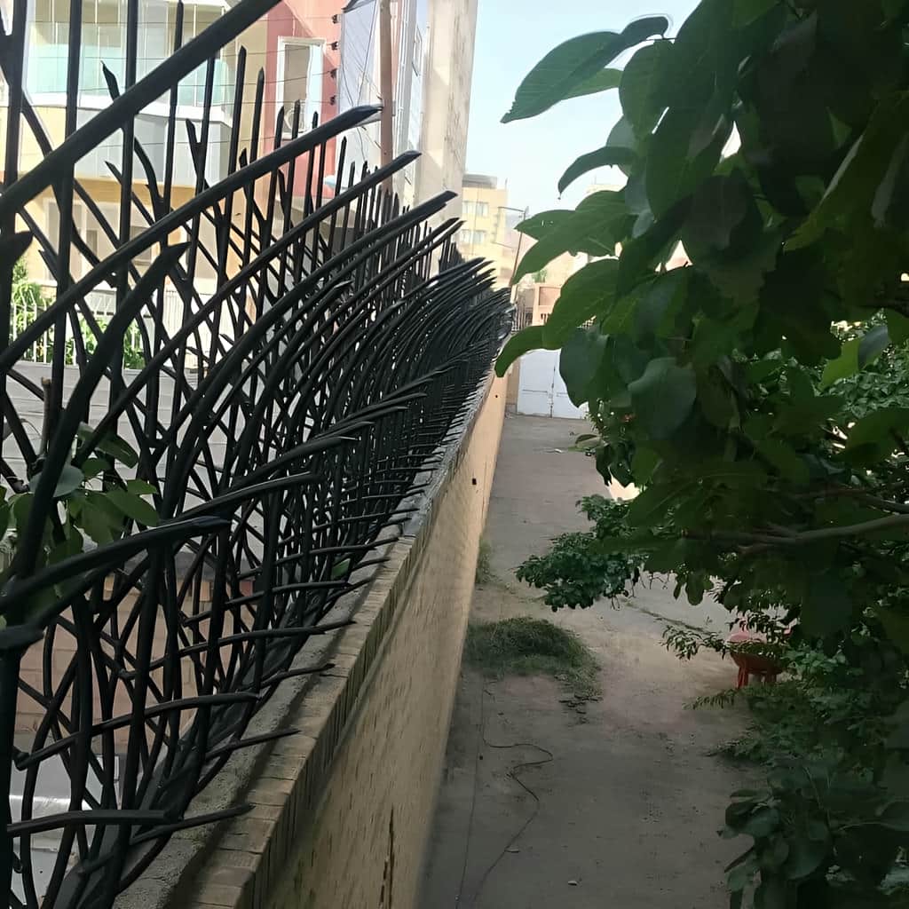 نصب حفاظ نیزار روی دیوار باغ در بندر عباس با زیرسازی مناسب