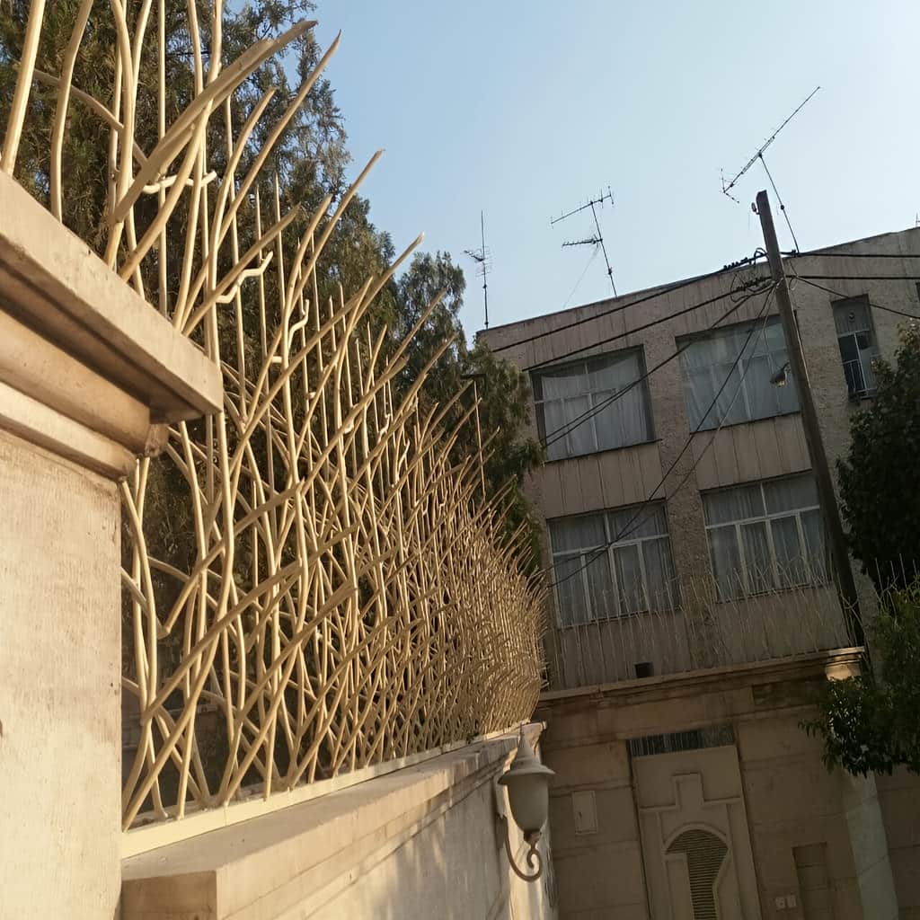 سفارش حفاظ نیزار برای دیوار باغ در بندر عباس با تراکم متناسب