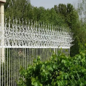 12 طرح حفاظ شاخ گوزنی دیوار باغ ویلا در بندر عباس