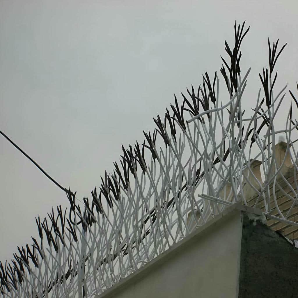 حفاظ شاخ گوزنی متراکم مناسب دیوارهای پیرامونی در بندر عباس
