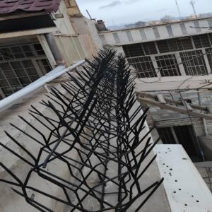 11 مدل حفاظ دیوار شاخ گوزنی میلگرد خمکاری در بندر عباس