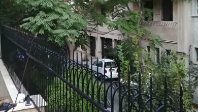 7 مدل حفاظ دیوار کلاسیک سرنیزه در بندر عباس