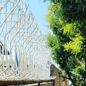7 مدل حفاظ بوته ای دیوار پرتراکم در بندر عباس