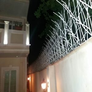 11 مدل حفاظ نیزار دیوار باغ در بندر عباس
