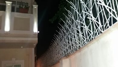 11 مدل حفاظ نیزار دیوار باغ در بندر عباس