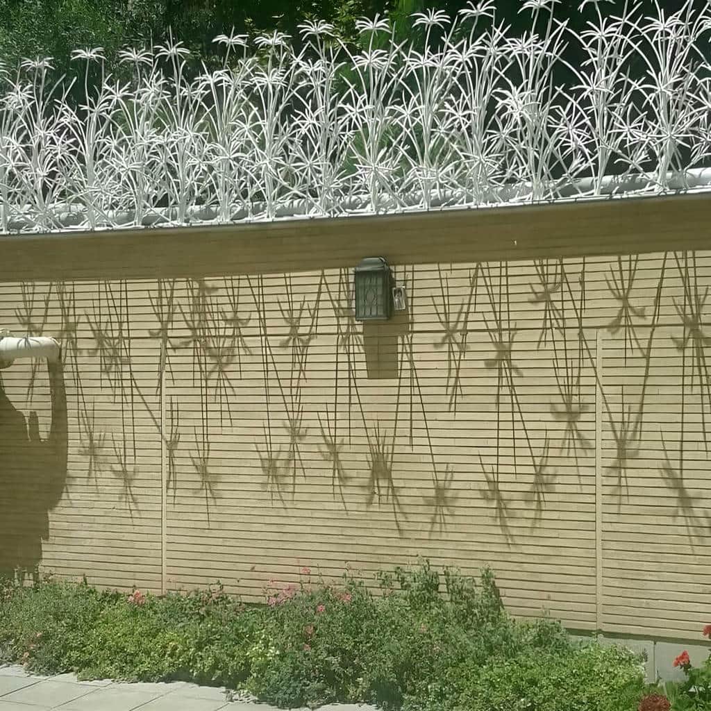 حفاظ نخل مرداب بندر عباس نمای فلزی ساختمان