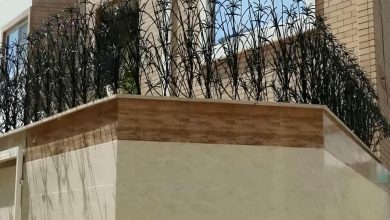 حفاظ نخل مرداب بندر عباس با پوشش مقاوم دیوار