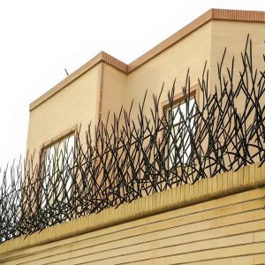 حفاظ بوته ای بندر عباس با فرم شاخه ای فلزی